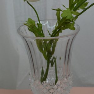Vase en verre de La maison de Carine