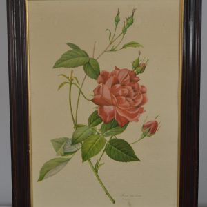 Illustration botanique de La maison de Carine