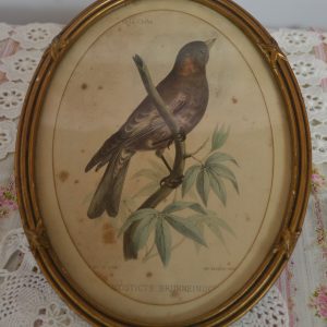 Cadre oiseau de La maison de Carine