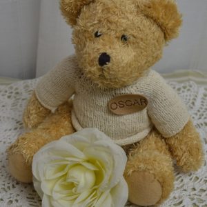 Ours en peluche de La maison de Carine