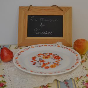 Plat Arcopal Scania de La maison de Carine