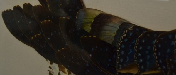 Tableau oiseau ailes de papillons de La maison de Carine_3