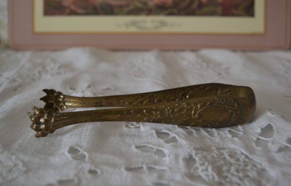 Pince à sucre pattes de lion en métal doré de La maison de Carine